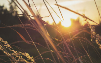 ¿Qué pasará con este blog?  Una reflexión sobre la incertidumbre