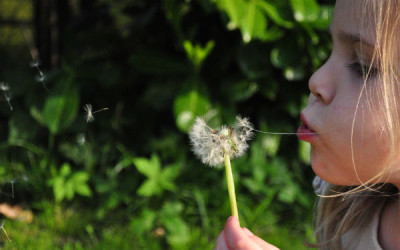 Un juego para el alma cuando nos excedemos. Soltar, aflojar, descansar